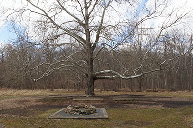 Locust Grove NC Sycamore Fire Ring